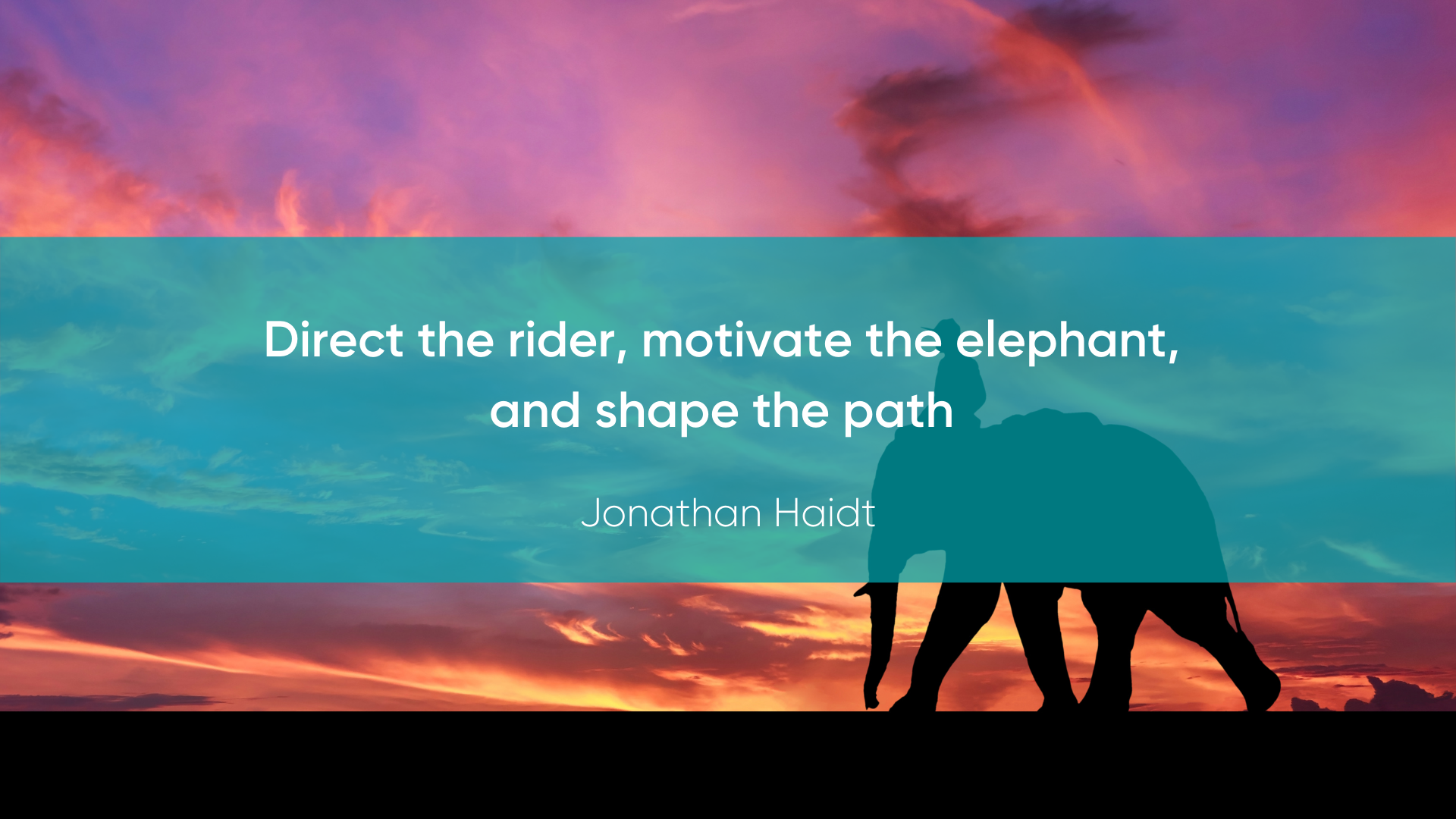 Jonathan Haidt Rider Elephant Path