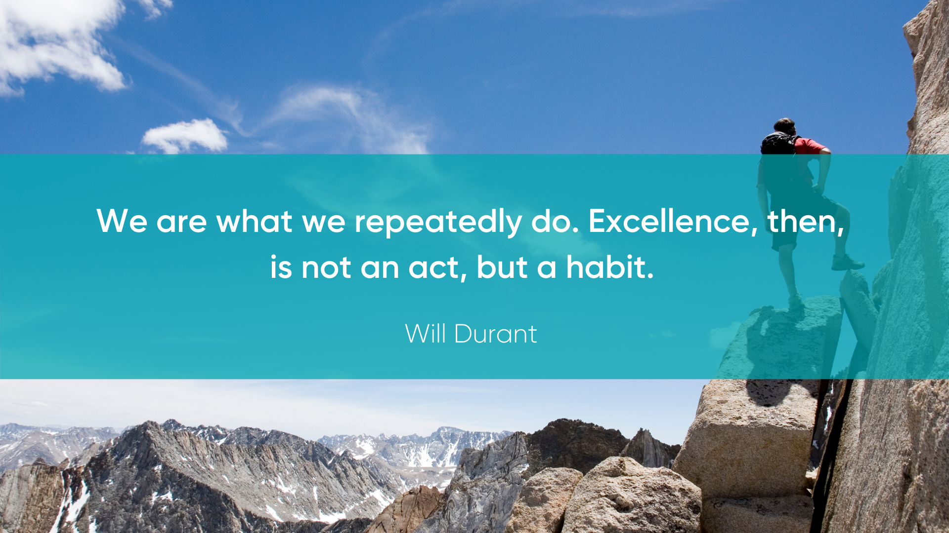 Will Durant Excellence Habit