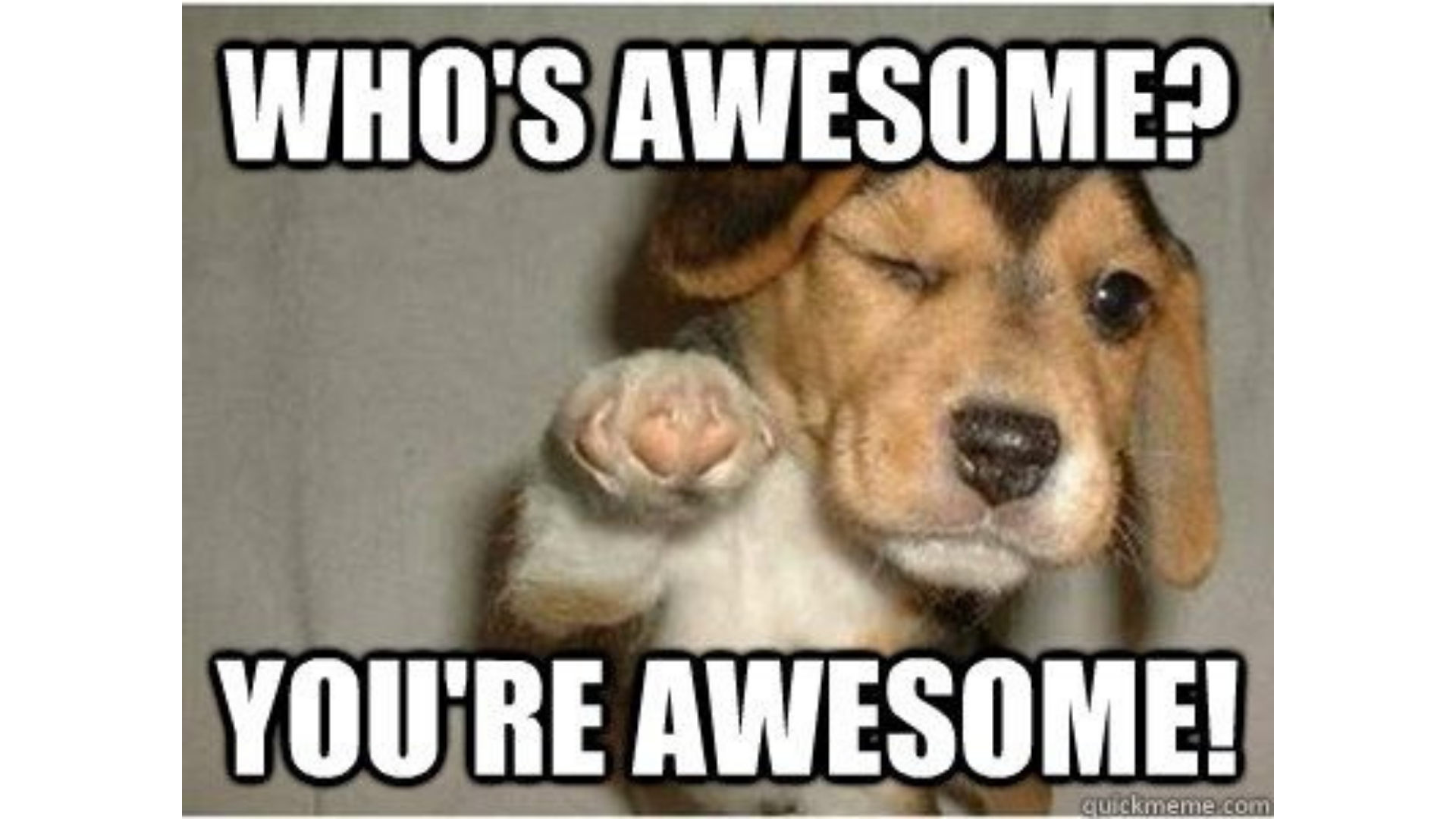 Who's awesome? You're awesome