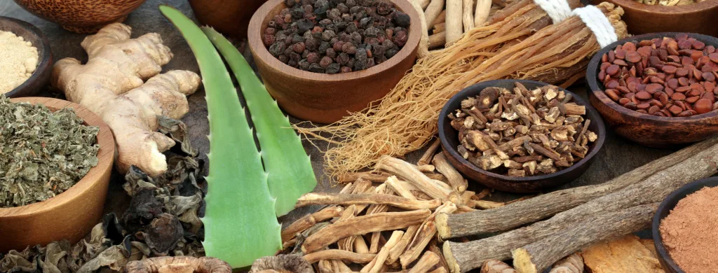 Adaptogens & Stress Management